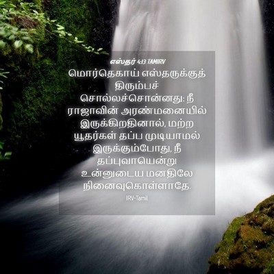 Picture 04 - எஸ்தர் 4:13 TAMIRV - மொர்தெகாய் - Bible Verse Picture