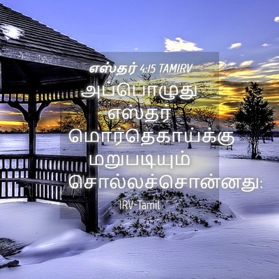 Picture 04 - எஸ்தர் 4:15 TAMIRV - அப்பொழுது எஸ்தர் - Bible Verse Picture