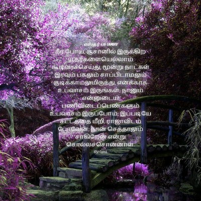 Picture 04 - எஸ்தர் 4:16 TAMIRV - நீர் போய், - Bible Verse Picture