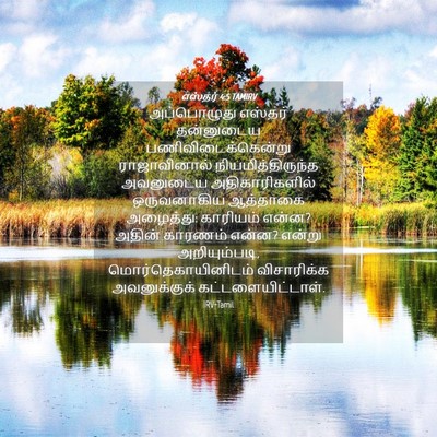 Picture 04 - எஸ்தர் 4:5 TAMIRV - அப்பொழுது எஸ்தர் - Bible Verse Picture