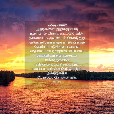 Picture 04 - எஸ்தர் 4:8 TAMIRV - யூதர்களை - Bible Verse Picture