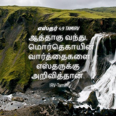 Picture 04 - எஸ்தர் 4:9 TAMIRV - ஆத்தாகு வந்து, - Bible Verse Picture