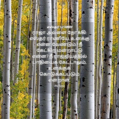 Picture 04 - எஸ்தர் 5:3 TAMIRV - ராஜா அவளை நோக்கி: - Bible Verse Picture
