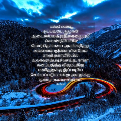 Picture 04 - எஸ்தர் 6:11 TAMIRV - அப்படியே ஆமான் - Bible Verse Picture