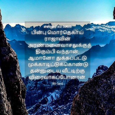Picture 04 - எஸ்தர் 6:12 TAMIRV - பின்பு மொர்தெகாய் - Bible Verse Picture