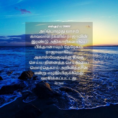 Picture 04 - எஸ்தர் 6:2 TAMIRV - அப்பொழுது வாசற் - Bible Verse Picture