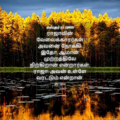 Picture 04 - எஸ்தர் 6:5 TAMIRV - ராஜாவின் - Bible Verse Picture