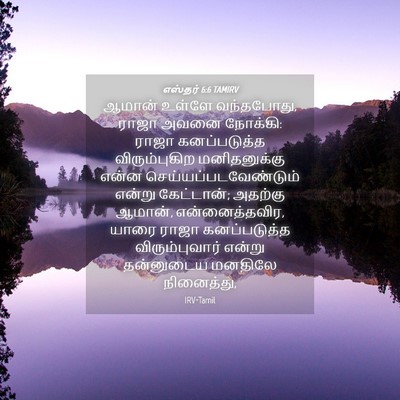 Picture 04 - எஸ்தர் 6:6 TAMIRV - ஆமான் உள்ளே - Bible Verse Picture