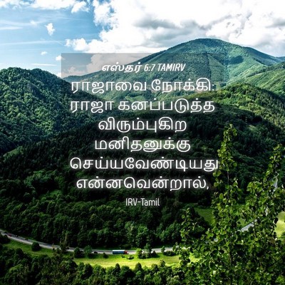 Picture 04 - எஸ்தர் 6:7 TAMIRV - ராஜாவை நோக்கி: - Bible Verse Picture
