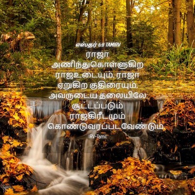 Picture 04 - எஸ்தர் 6:8 TAMIRV - ராஜா - Bible Verse Picture
