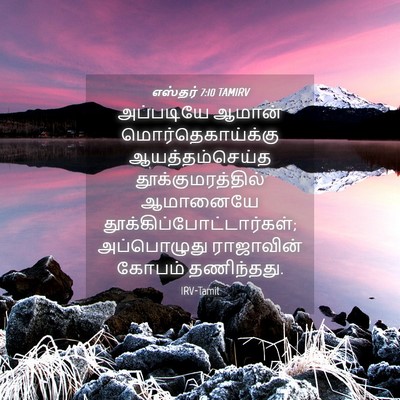 Picture 04 - எஸ்தர் 7:10 TAMIRV - அப்படியே ஆமான் - Bible Verse Picture