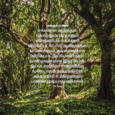 Picture 04 - எஸ்தர் 7:4 TAMIRV - எங்களை அழித்துக் - Bible Verse Picture