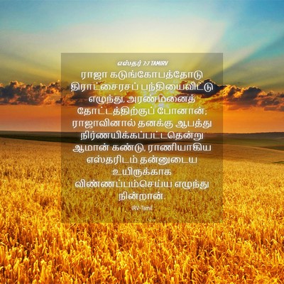 Picture 04 - எஸ்தர் 7:7 TAMIRV - ராஜா - Bible Verse Picture