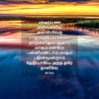 Picture 04 - எஸ்தர் 8:11 TAMIRV - அவைகளில், - Bible Verse Picture