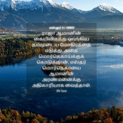 Picture 04 - எஸ்தர் 8:2 TAMIRV - ராஜா ஆமானின் - Bible Verse Picture