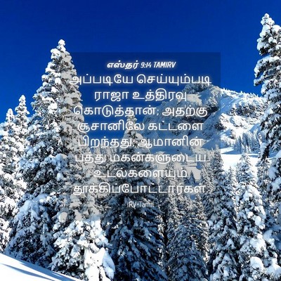 Picture 04 - எஸ்தர் 9:14 TAMIRV - அப்படியே - Bible Verse Picture