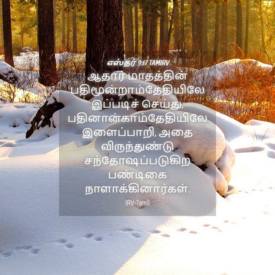 Picture 04 - எஸ்தர் 9:17 TAMIRV - ஆதார் மாதத்தின் - Bible Verse Picture