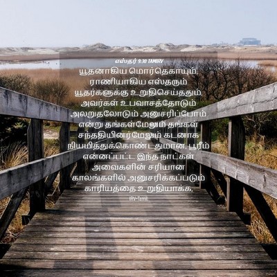 Picture 04 - எஸ்தர் 9:30 TAMIRV - யூதனாகிய - Bible Verse Picture