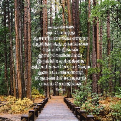 Picture 04 - எஸ்றா 10:10 TAMIRV - அப்பொழுது - Bible Verse Picture