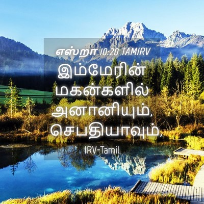 Picture 04 - எஸ்றா 10:20 TAMIRV - இம்மேரின் - Bible Verse Picture
