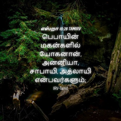 Picture 04 - எஸ்றா 10:28 TAMIRV - பெபாயின் - Bible Verse Picture