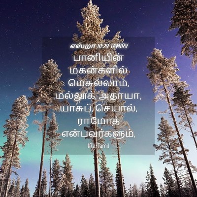 Picture 04 - எஸ்றா 10:29 TAMIRV - பானியின் - Bible Verse Picture