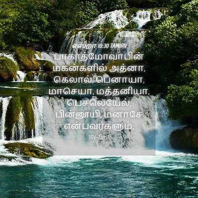Picture 04 - எஸ்றா 10:30 TAMIRV - பாகாத்மோவாபின் - Bible Verse Picture