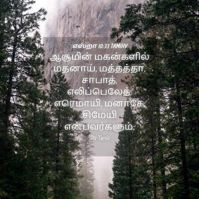 Picture 04 - எஸ்றா 10:33 TAMIRV - ஆசூமின் மகன்களில் - Bible Verse Picture