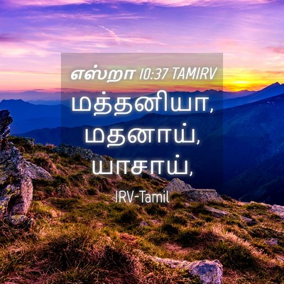 Picture 04 - எஸ்றா 10:37 TAMIRV - மத்தனியா, மதனாய், - Bible Verse Picture