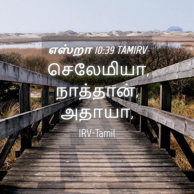 Picture 04 - எஸ்றா 10:39 TAMIRV - செலேமியா, - Bible Verse Picture