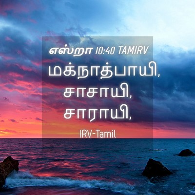 Picture 04 - எஸ்றா 10:40 TAMIRV - மக்நாத்பாயி, - Bible Verse Picture
