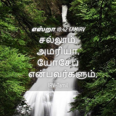 Picture 04 - எஸ்றா 10:42 TAMIRV - சல்லூம், அமரியா, - Bible Verse Picture