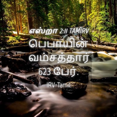 Picture 04 - எஸ்றா 2:11 TAMIRV - பெபாயின் - Bible Verse Picture