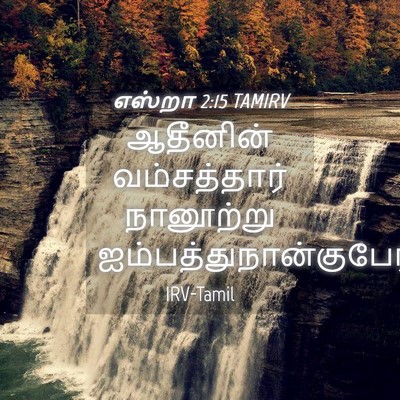 Picture 04 - எஸ்றா 2:15 TAMIRV - ஆதீனின் - Bible Verse Picture