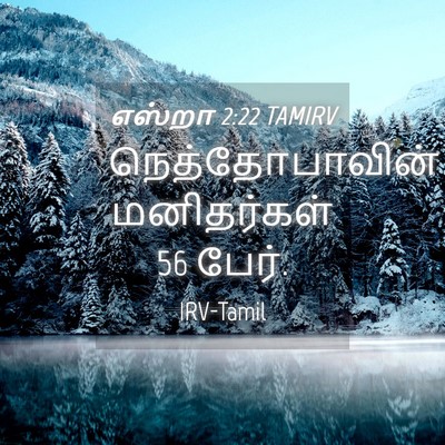 Picture 04 - எஸ்றா 2:22 TAMIRV - நெத்தோபாவின் - Bible Verse Picture
