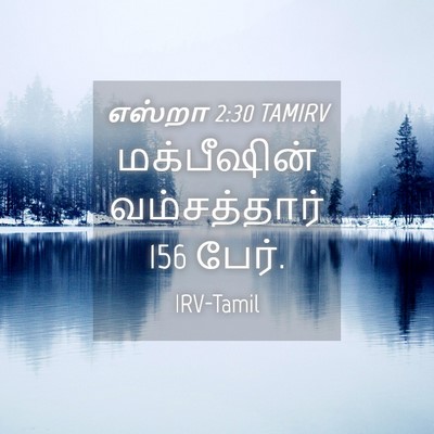 Picture 04 - எஸ்றா 2:30 TAMIRV - மக்பீஷின் - Bible Verse Picture