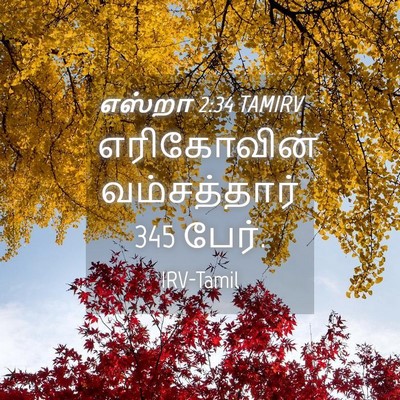 Picture 04 - எஸ்றா 2:34 TAMIRV - எரிகோவின் - Bible Verse Picture