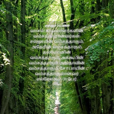 Picture 04 - எஸ்றா 2:42 TAMIRV - வாசல் - Bible Verse Picture