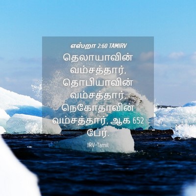 Picture 04 - எஸ்றா 2:60 TAMIRV - தெலாயாவின் - Bible Verse Picture