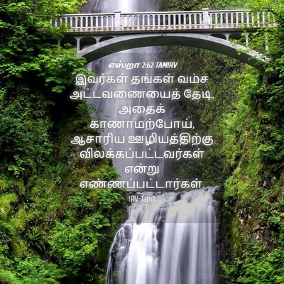 Picture 04 - எஸ்றா 2:62 TAMIRV - இவர்கள் தங்கள் - Bible Verse Picture