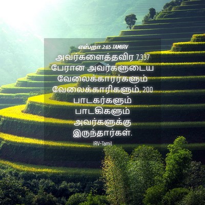 Picture 04 - எஸ்றா 2:65 TAMIRV - அவர்களைத்தவிர 7,337 - Bible Verse Picture