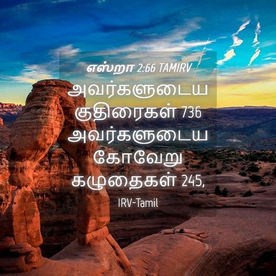 Picture 04 - எஸ்றா 2:66 TAMIRV - அவர்களுடைய - Bible Verse Picture