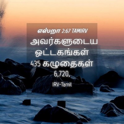Picture 04 - எஸ்றா 2:67 TAMIRV - அவர்களுடைய - Bible Verse Picture