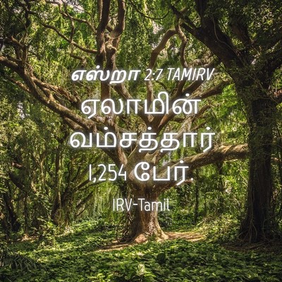 Picture 04 - எஸ்றா 2:7 TAMIRV - ஏலாமின் - Bible Verse Picture