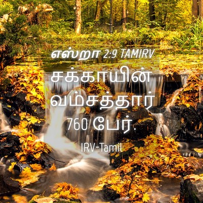 Picture 04 - எஸ்றா 2:9 TAMIRV - சக்காயின் - Bible Verse Picture