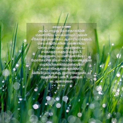 Picture 04 - எஸ்றா 3:2 TAMIRV - அப்பொழுது - Bible Verse Picture