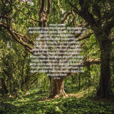 Picture 04 - எஸ்றா 3:8 TAMIRV - அவர்கள் - Bible Verse Picture