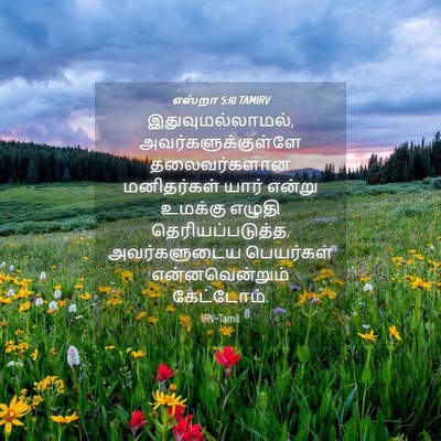 Picture 04 - எஸ்றா 5:10 TAMIRV - இதுவுமல்லாமல், - Bible Verse Picture