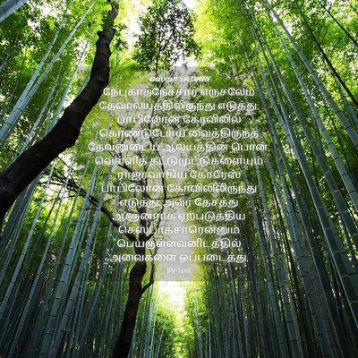 Picture 04 - எஸ்றா 5:14 TAMIRV - நேபுகாத்நேச்சார் - Bible Verse Picture