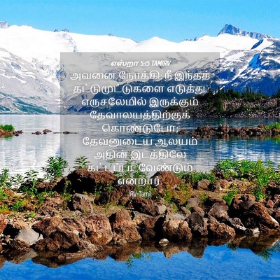 Picture 04 - எஸ்றா 5:15 TAMIRV - அவனை நோக்கி: நீ - Bible Verse Picture